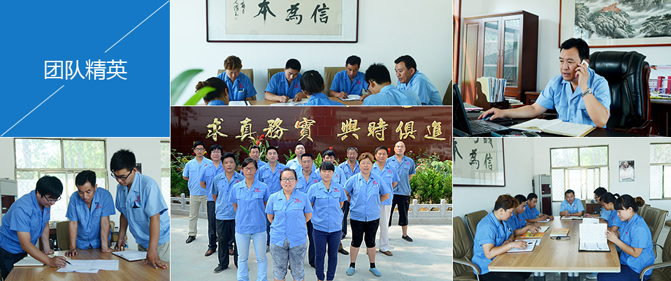 團(tuán)隊(duì)精英