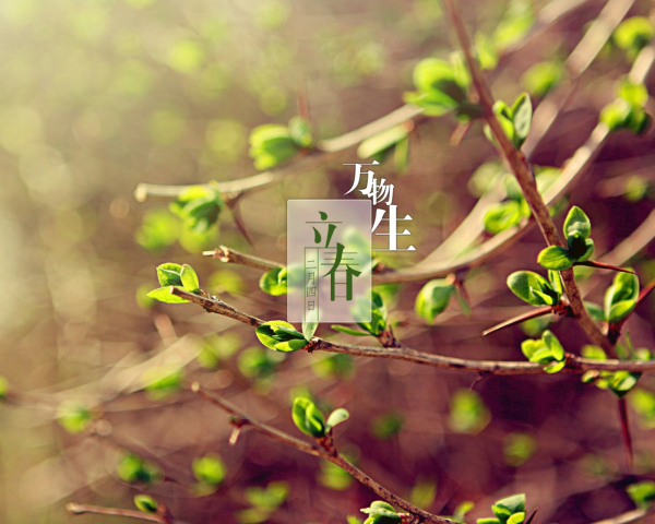 臨清市魯磁科技制造有限公司