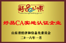 山東魯磁榮譽(yù)證書