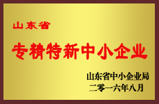 榮譽(yù)資質(zhì).png