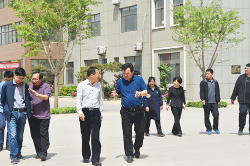 山東魯磁 山東魯磁