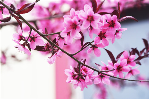 魯磁科技廠區(qū)