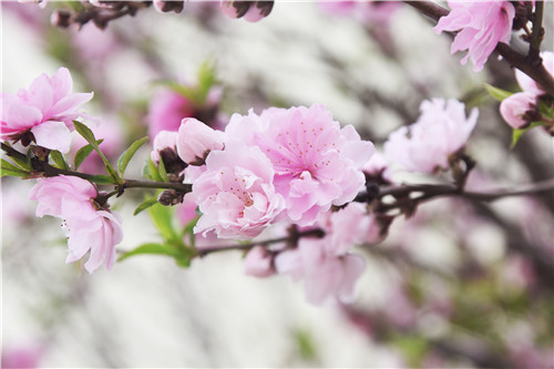 魯磁科技廠區(qū)