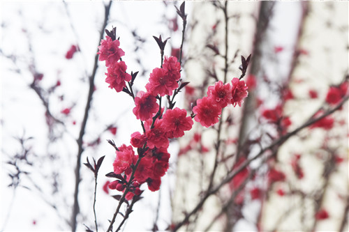 魯磁科技廠區(qū)