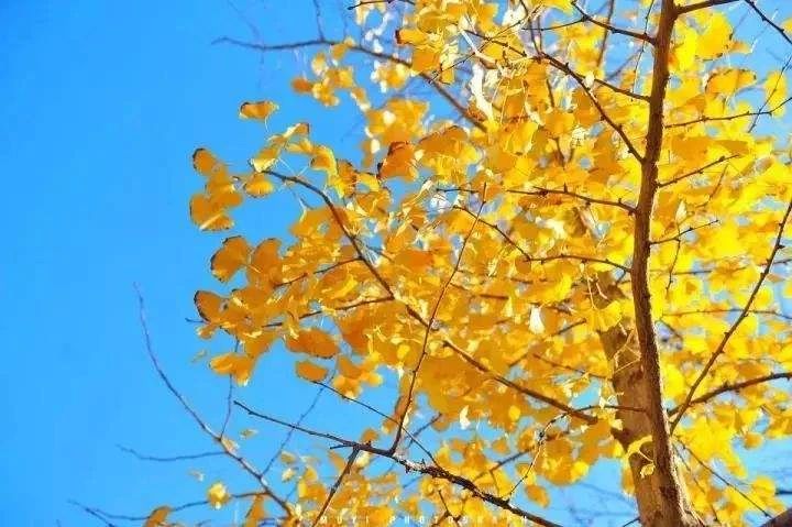 微信圖片_20201102132101.jpg 微信圖片_20201102132101.jpg