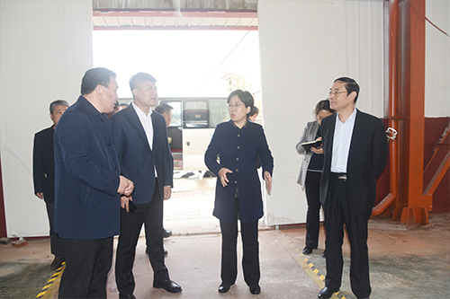 【頭條】臨清市市長(zhǎng)祁學(xué)蘭、副市長(zhǎng)王慶瑞等領(lǐng)導(dǎo)蒞臨魯磁科技督導(dǎo)項(xiàng)目情況